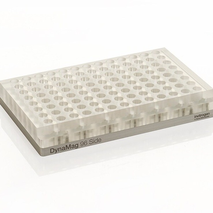 12331D赛默飞DynaMag-96侧面磁力架蛋白分析Thermo Invitrogen