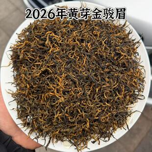 2026���Sѿ���Eü�ؼ��Y���b����ɢ�b÷ռѿ��ѿ�Լ��ȼt����~