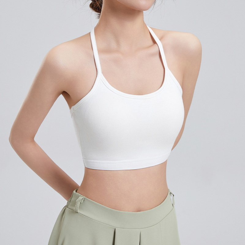 2025 New Style Thin Shoulder Strap Hanging Neck Tube Bra with Chest Pad One-piece Hot Style Hot Style Base Bra for Women