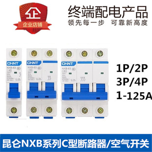 Chint Kunlun Circuit Breaker Dz47 Small Household Air Switch Nxb-63 Single 2P3P4P32A63A100A