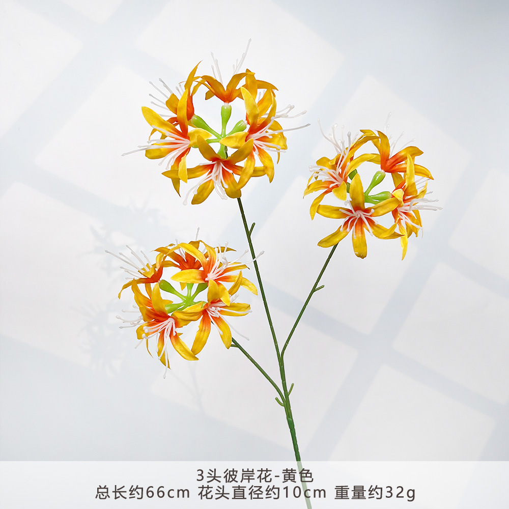 HXX-3头彼岸花-黄色