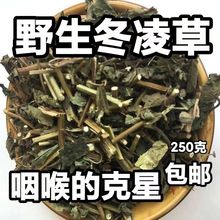 冬凌草当季无硫冬凌草材野生无杂质散装干燥雪花草冰凌草泡水泡茶