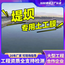 水渠堤坝人工湖防渗土工布防水防渗高密度聚乙烯HDPE防渗土工膜