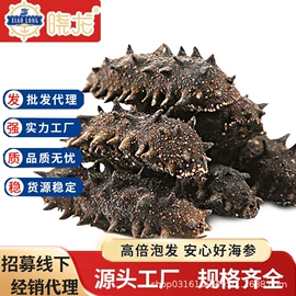 海参;海参即食;干品/即食海参
