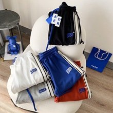 ��īԭ�SADER2023���W���ĸ�̽�����ѝŮ���ɂ��濗�����ѝ��H