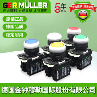 Flat Button Switching Power Supply Start Stop Self-Resetting Golden Zhong Muller M22-Dl Inching Self-Locking Flat Button with Light