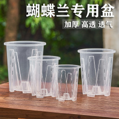新商品の胡蝶蘭の植木鉢の根をコントロールする鉢の透明な青山の鉢の文心蘭の鉢の透明なプラスチックの通気性の植木鉢の蘭の植木鉢
