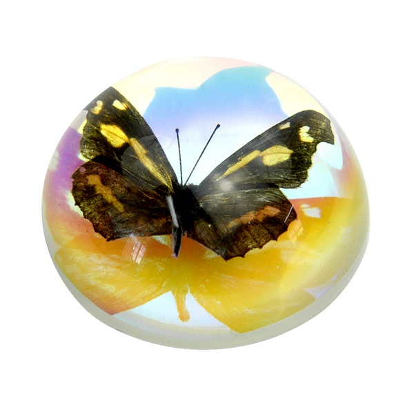 6.4cm semicircular colorful butterfly