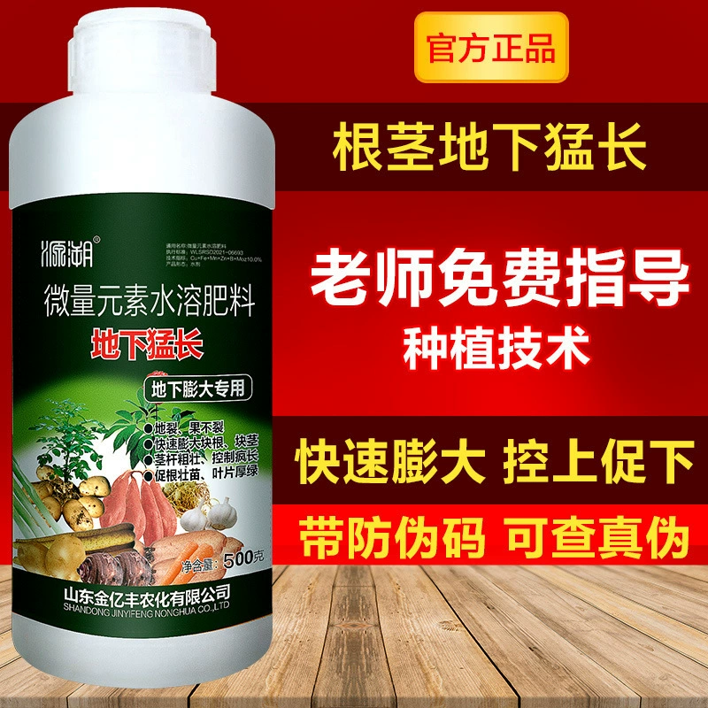 500 г корневого корневого клубня Подземный корневищный корневищ Подземная культура Картофель Сладкий картофель Редька