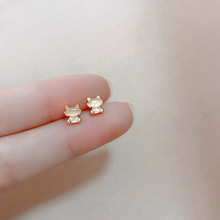 925�y�����ɐ�С؈������؈��ʯ���Ů���s�r��С���OӋ�ж��h
