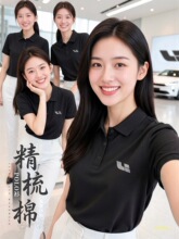 �߶˹�������POLO����ӡlogo4s��܇չ�N�����޹��b�ķ��I����