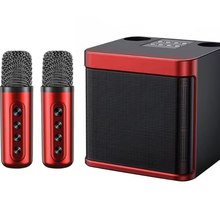 YS203K歌蓝牙音响跨境无线双麦克风KTV一体机家庭户外203蓝牙音箱