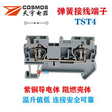 ����TST4���ɽӾ����ӌ�܉���bֱ�������~����w��ȼ���wcosmos