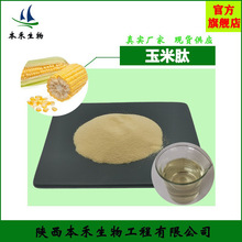 玉米肽98% 玉米低聚肽粉 小分子活性肽 500Da 速溶 本禾现货多肽