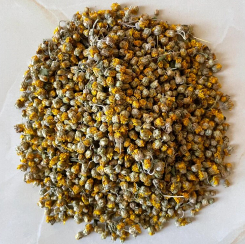 精品野菊花  野菊花茶 野菊花干 干净无杂  安徽亳州中药材野菊花