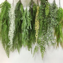 绿植壁挂吊兰花垂吊绿色植物波斯草蕨类墙壁悬空装饰蕨叶藤条