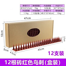 ���N���Ϸ��B�� ���B��4�Ŵ̑�����픖řڰ��b��B��