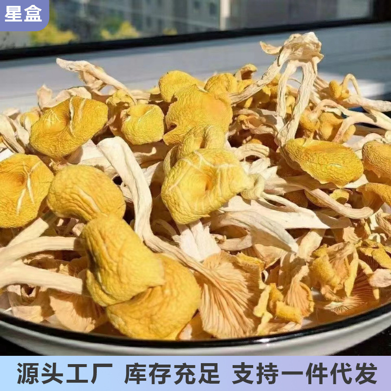 雲南省土産鶏油菌乾燥品黄糸菌楡黄菌無薫硫黄乾燥品食用菌食材|undefined