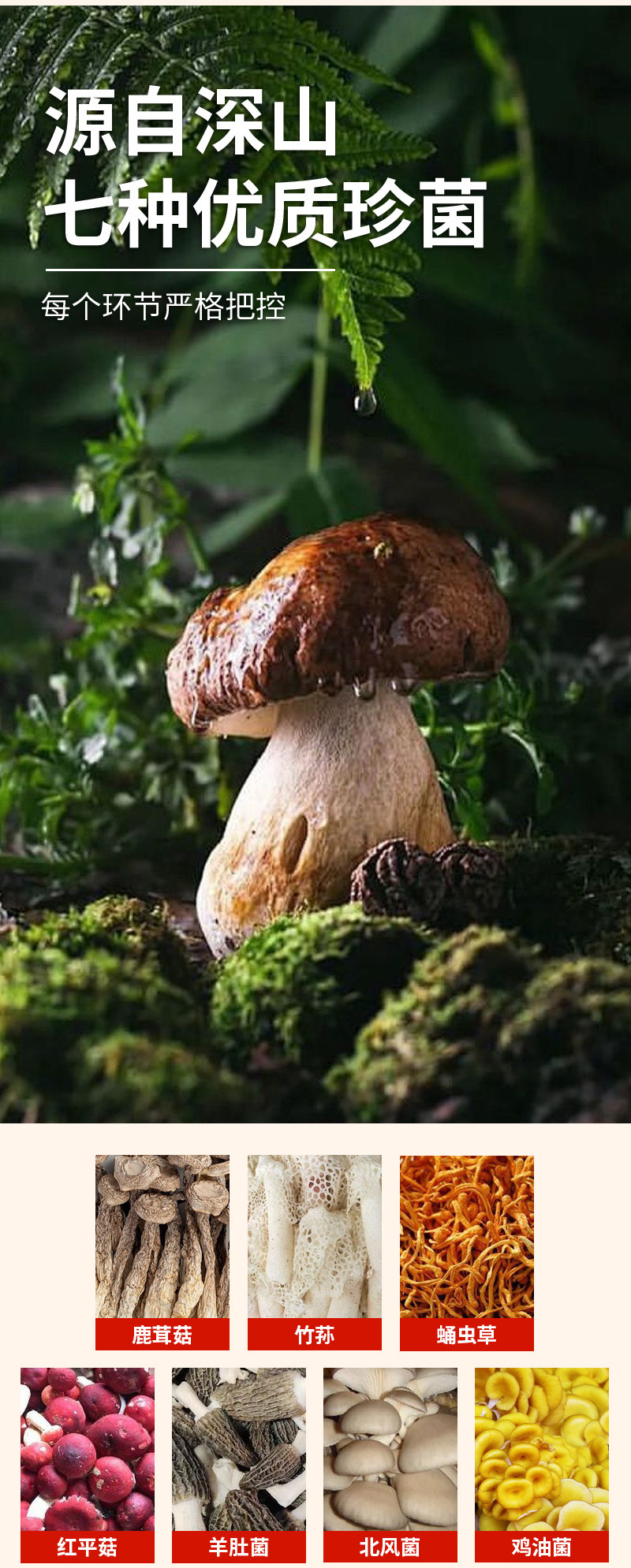 Yunnan Seven-Color Mushroom Soup Pack — Morel, Red Russula, Bamboo Fungus, Deer Antler Mushroom & Cordyceps Flower Dried Mushroom Soup Mix quality and texture