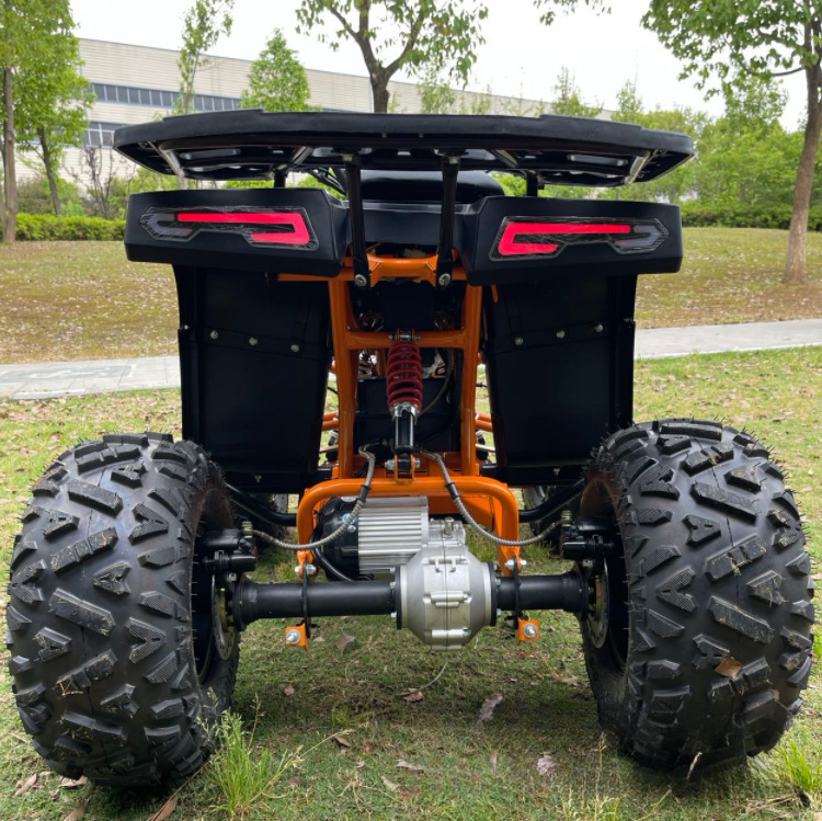 Factory Direct Sales 60V1000W Beach Car Electric Atv Electric All-Terrain Vehicle Electric Utv Electric Go-Kart