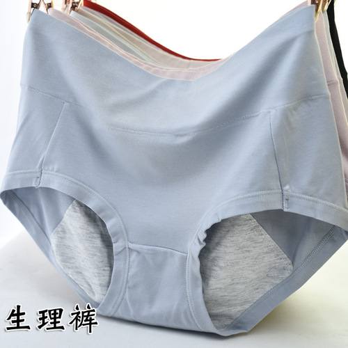 Modesty Mid-rise Incontinence Pads for Women - Period Safety Pads for Heavy Flow - Triangular Women's Underwear