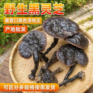 ɭ��֮�ۏV����Ұ���`֥��֥��֥��֦��؛�����ݾ�250g����Ƭ���