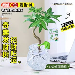 �lؔ��ˮ��ֲ��ˮ�B���˾GֲС���Ԅ���[���k���҃ȿ͏d��ؔ�辰