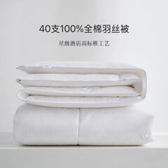 ホテルエアコンキルト、綿キルト芯、四季キルト、ホテルとB&Bの厚手起毛フェザーベルベット冬用キルト卸売