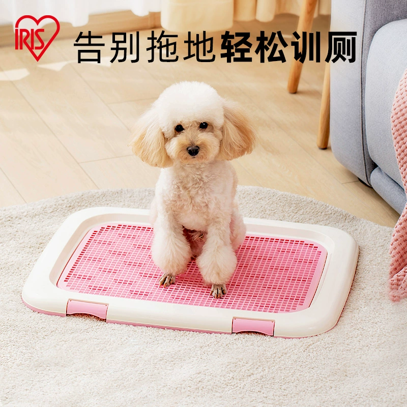 Алиса собака туалет домашнее животное писсуар маленький пёс Тедди планшет Алиса в большой собачий туалет