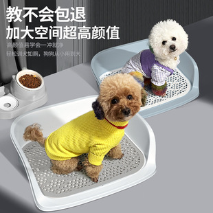 Pet dog dedicated toilet