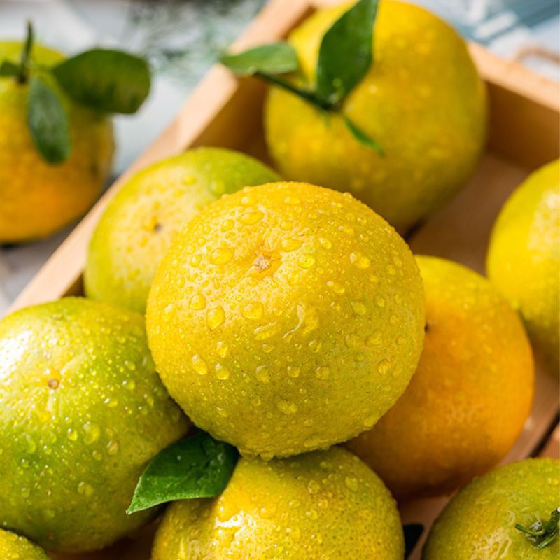 德庆皇帝柑新鲜水果贡柑广东当季柑橘桔橙子大果5/10斤顺丰包邮