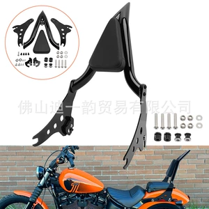 Harley Softail Street Fighter 18-24 sərnişin arxa dayağı