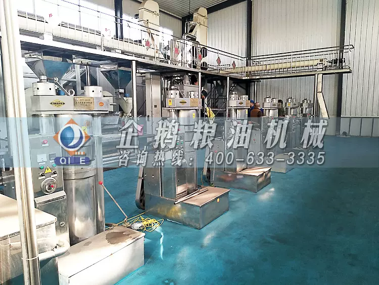 食用油加工设备厂家，油脂机械成套设备，榨油机精炼油设备