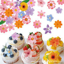�羳���N����Ŵ�׼��決������m�÷��ǔ[�P���c�����b�����