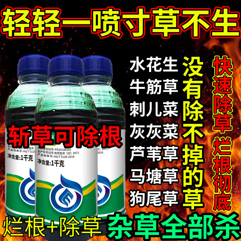 轻轻一喷寸草不生死根草剂斩草除根荒地果园专用除草剂草铵膦除草