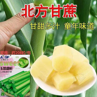 �r��������U�N�����J��ļ�����UС����N���J��������N��