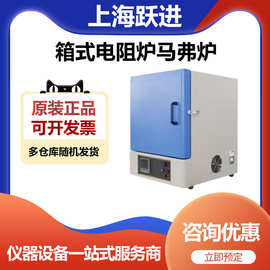 上海跃进SX2-2.5-10G箱式电阻炉马弗炉