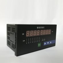 NPXJ-C2011 智能巡检仪上海上润仪表