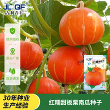 �tŴ������ϹϷN�Ӱ���С�ϹϷN����Ʒ�N����Ŵ�ߴ����߲˷N��