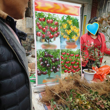 ܇ӈ@ˇԷǘ辰Էǹܽؔ؛®aƷ