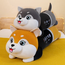 ſ����ʿ�湫��ë�q���Ů�������L�l����������Ȯ�Y����ż�����l