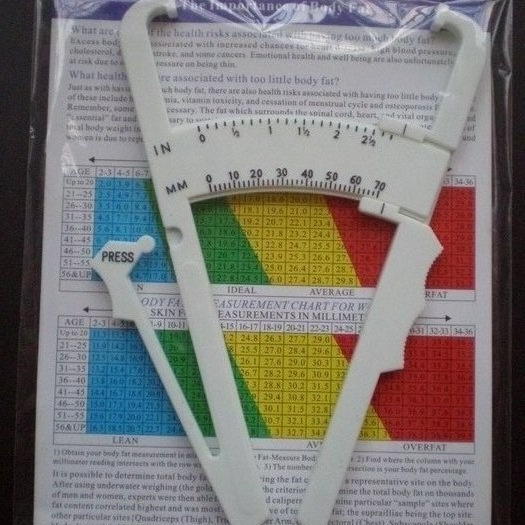 脂肪卡尺/脂肪夹/脂肪钳/皮脂卡尺/皮脂测量仪/skinfold caliper
