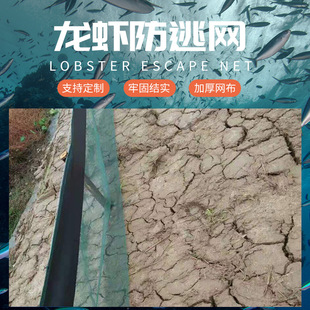 ������߅�Bֳ�W�� ����ţ��ˮ�a���W ���ϔr�~ 10Ŀ�з���r����