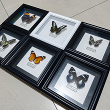 ������˱�����b�DIY�ҾӔ[���Wʽ�͹����[̨���նY��YƷ