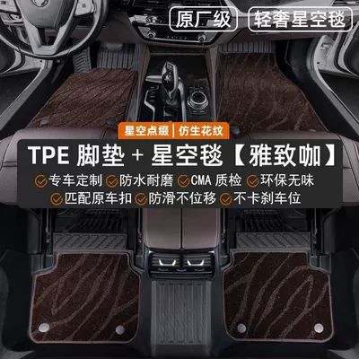 Original Factory Door Sill Tpe Car | Modelə uyğun ayaqaltı - haval-second-generation-big-dog-23-25-models-new-energy-double-layered-best-selling-model-tpe-floor-mats-with-threshold-included-coffee-colored-starry-sky-blanket