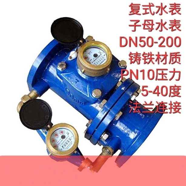 埃美柯 国标型 数字显示 复式子母水表 自来水水表LXF-50E 瑞辉