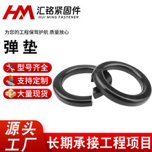 8.8���ߏ��ȏ��|���ɉ|Ƭ������|Ƭ���ى|Ȧ