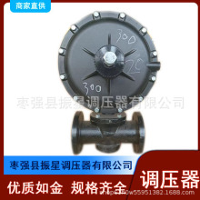 RTZ-FQ50燃气调压器天然气稳压阀燃烧机锅炉液化气管道式调压阀