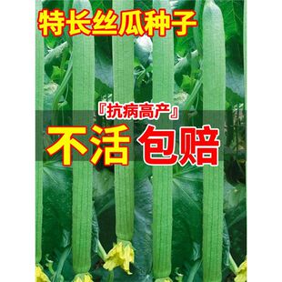 ���L�z�ϷN���Ѵ����Ϸ��Nֲ����z�ϷN���̨ͥԺ�����߲�������