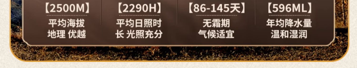 Dried Whole Scorpion Quan Xie 全蝎 Whole Body TCM Herb Unsalted Fully Dried Can Be Ground to Powder quality and texture
